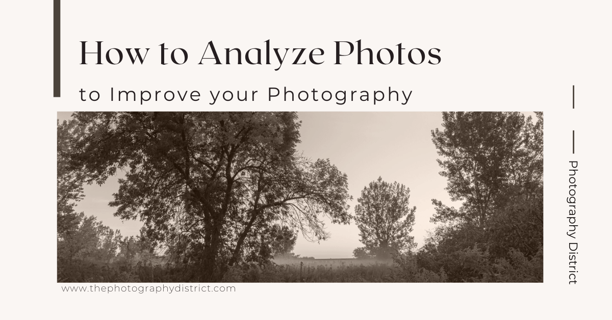 How To Analyze Photos To Improve Your Photography Photography District analyze
